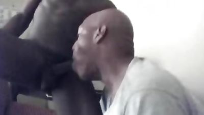 Head 6, Amateur, Black, Blowjob, Gay, Shaving