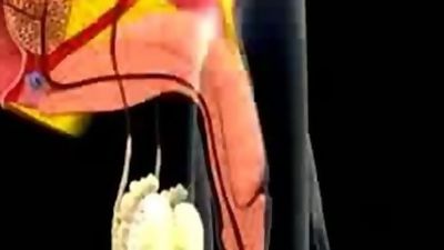 Cum in mouth animation, Blowjob, Fetish, Orgasm