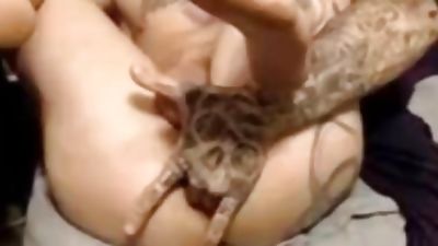 Webcam Sexy Ass Tattooed Guy Assplay, Anal, Ass, College