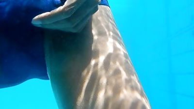 in swimming pool, Amateur, Asian, Outdoor, Gay