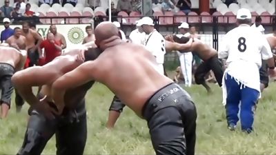 Mature Daddy Wrestling Turkish Oil Wrestling, Gay, Bears, Daddies, Turkish