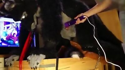 new furry boytoy, Amateur, Cumshot, Teen, Gay