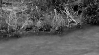 Vintage Boys Playing Sports... Nude (No Sex), Amateur, Vintage, Gay