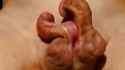 Bizarre Penis Masturbation, Gloryhole, Webcam, Bears, Petite, Small Cock