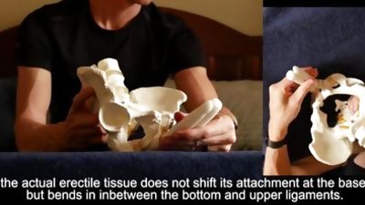 Penis Ligaments and Erection Angle: Prop demonstration stretching explained, Big Cock, Masturbating, Teen, Gay