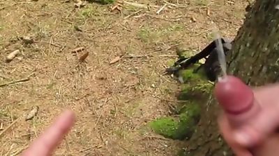 Young gay couple cum on each others dick in public!, Cumshot, POV, Couple