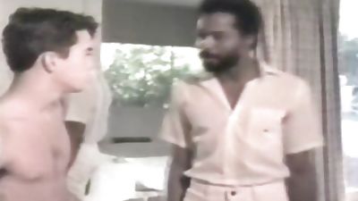 IR 040, Anal, Interracial, Vintage