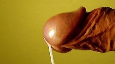 FAGGOTS!, Old And Young, Bareback, Bears