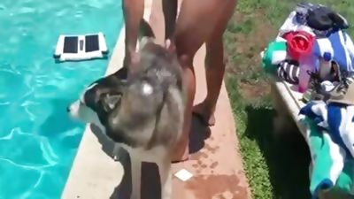 Summer Pool bang, Cumshot, Interracial, Outdoor