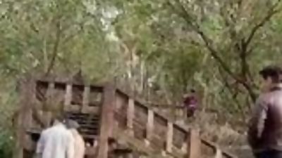 Exhib, Voyeur, Blowjob in the Park, Asian, Blowjob, Masturbating, Gay