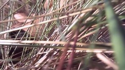 While they fuck me the others take care of my wife., Amateur, Blowjob, Group Sex