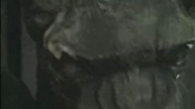 Mark Oneill & Anthony Vega (Leather, BDSM, Fetish), Fetish, Pornstar, Muscle