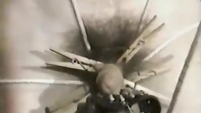 Brutal Bondage/CBT Scene - PAIN DOWN BELOW (1983), Vintage, Bears, BDSM