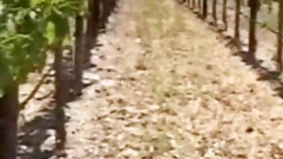 Jason Ridge fucks Damian Rios., Anal, Ass, Big Cock, Damian Rios