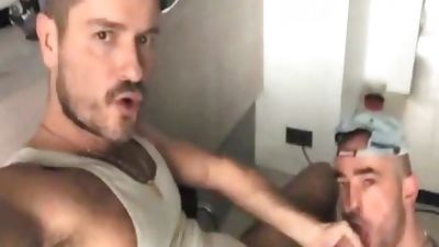 TIERY B. // PHOTO-PORNO-GRAPHER - Copyright / Two indecent Pigs - Smelling Licking engulfing, European, Hardcore, Bears