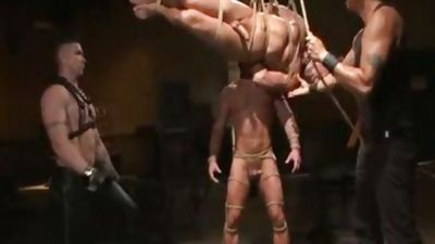 fastened Gods - Muscle bondage Live Show - D, Webcam, Muscle, Hunks, Trenton Ducati
