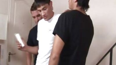 sadomasochism chap tied And poked, Anal, Ass, Bondage