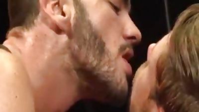 Harnessed thonged And Bred, Extreme