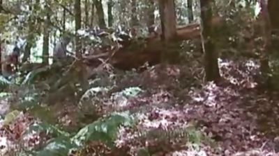 Forest group J/O: Arpad Miklos, Dillon Buck, Jack Bond, Park Wiley & Tober Brandt, Blowjob, Masturbating, Outdoor, Dillon Buck, Arpad Miklos, Park Wiley