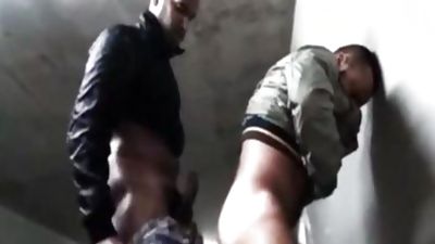 wicked Bears Public engulfing, Blowjob, Outdoor, Bears