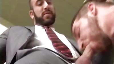 Office Workers., Big Cock, Mature, Bears