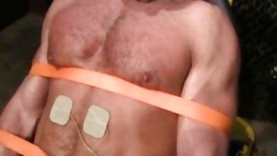 GRUNT acquires TORTURED, Bondage, Torture, Bounded