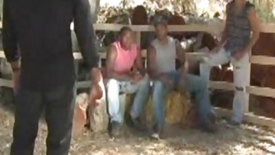 darksome dick White Heat, Black