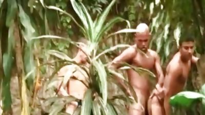 Tomy Lima Brasil, Brazilian, Portuguese