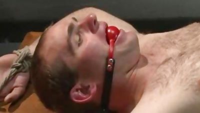 Straight Proffessor acquires Edged And dildo plowed In The Classroom, Dildo, Fetish, Student