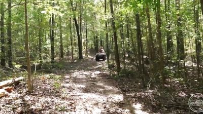 Cowboys Bareback - Big Bush Men from The Guy Site, Big Cock, Cumshot, Hairy, The Guy Site