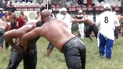 Mature Daddy Wrestling Turkish Oil Wrestling, Gay, Bears, Daddies