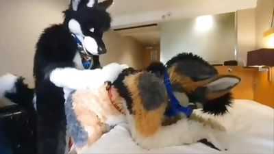 Eclipse bangs AERA, Amateur, Gay, Bareback