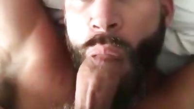GORGEOUS BEARDED COCKSUCKER, Amateur, Blowjob, Gay, Gorgeous