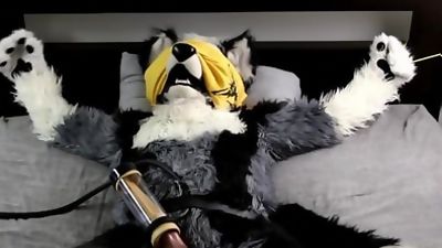 Wolfang And The Milking Machine (Part 2), Amateur, Big Cock, Fetish