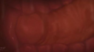 Furries Do It Better - A Yiff HMV SFM PMV, Anal, Fetish, POV