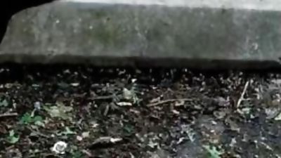 Public park cum shooter, Big Cock, Black, Masturbating