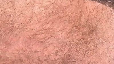 hairiest english bear, Gay, Bears, British