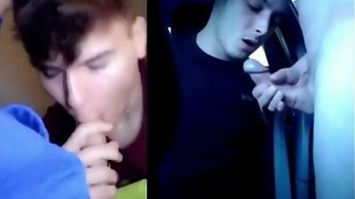 Friends and their Dicks (Blowjob Compilation), Amateur, Big Cock, Blowjob, Gay