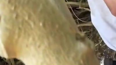 Fucked By College Teen in Public, Amateur, Anal, Teen, Couple