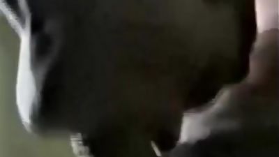 Greg & Joey Full, Anal, Big Cock, Creampie