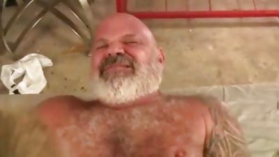 young guy fucks hairy daddy bear, Hairy, Bareback, Bears