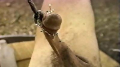 Straight Boys Torture a Fag, Blowjob, Twinks, BDSM