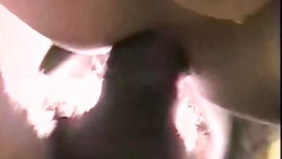 Hot And Hung - Scene 4, Amateur, Anal, Blowjob, Gay