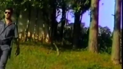 Brazil Nuts 05 - Scene 2, Anal, Outdoor, Reality, Gay