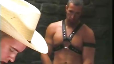 Young Hung And Horny - Scene 7, Blowjob, Cumshot, Threesome, Brett Dimineo