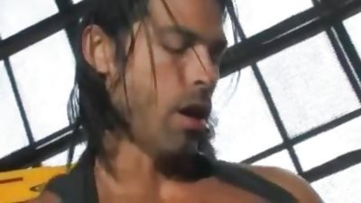 hot longhair top, Anal, Ass, Cumshot, Fingering, Gay