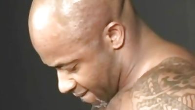 Black Muscle Bareback, Black, Blowjob, Gay, Bareback, Muscle