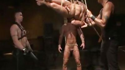 fastened Gods - Muscle bondage Live Show - D, Webcam, Muscle, Hunks, Trenton Ducati