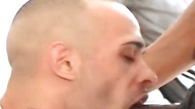 Tatted Up White man Sucks A big black penis, Big Cock, Black, Blowjob, Gay