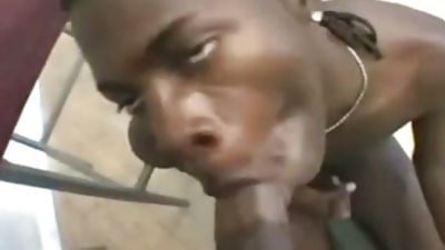 ebony bare bang, Black, Bareback, Ebony